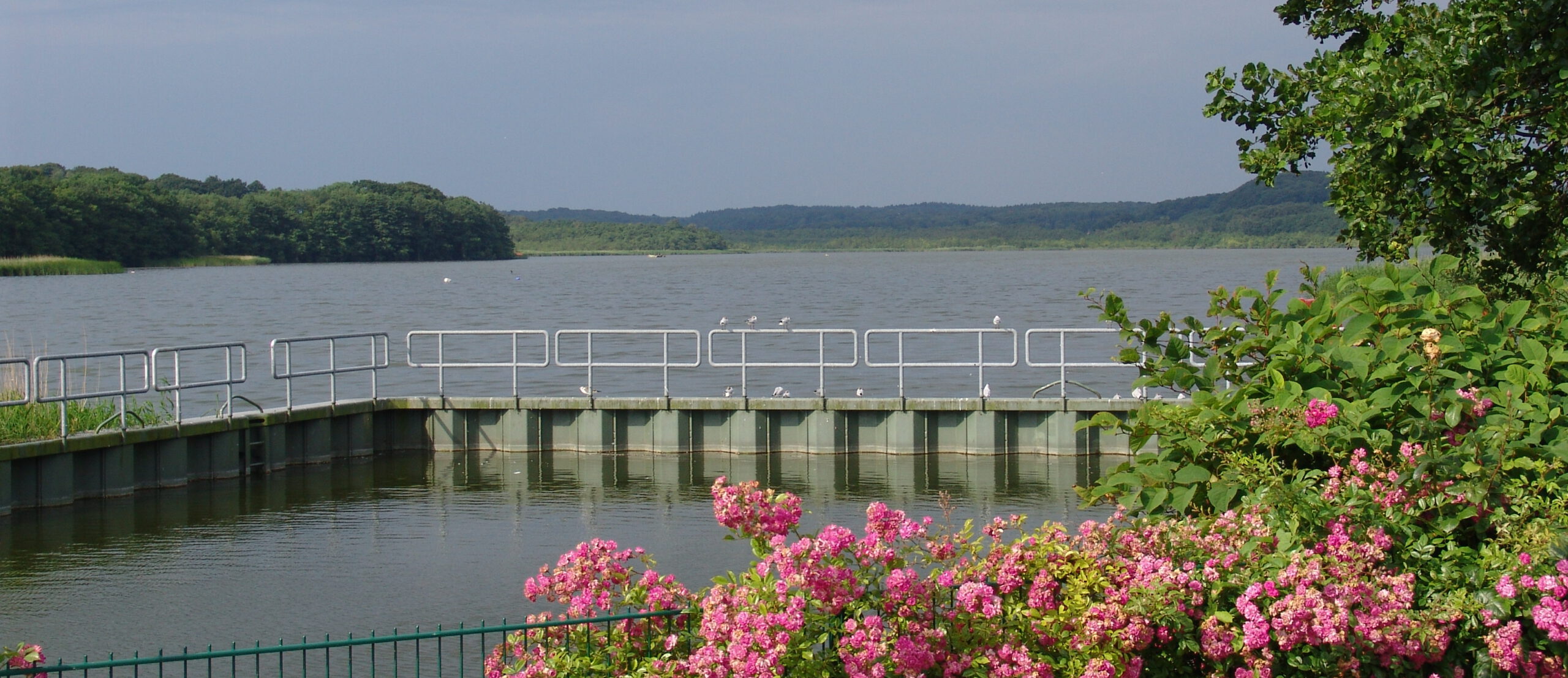 Blick über den Schmachter See von der Promenade im Ostseebad Binz
